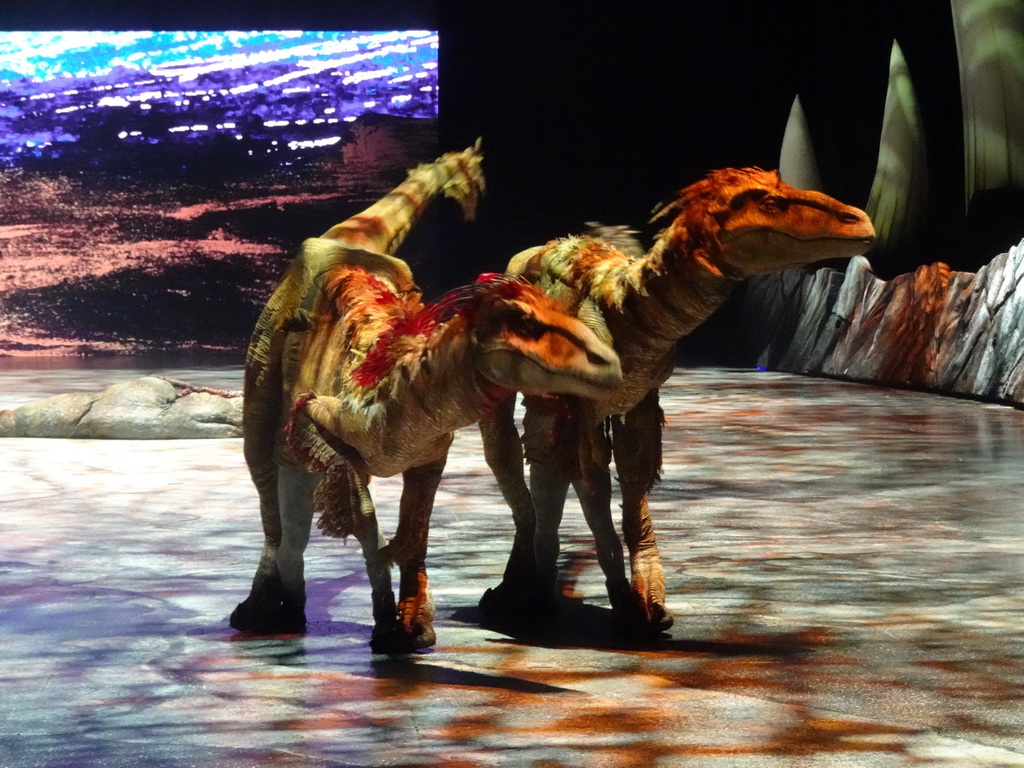 Utahraptor statues at the stage of the Ziggo Dome, during the `Walking With Dinosaurs - The Arena Spectacular` show