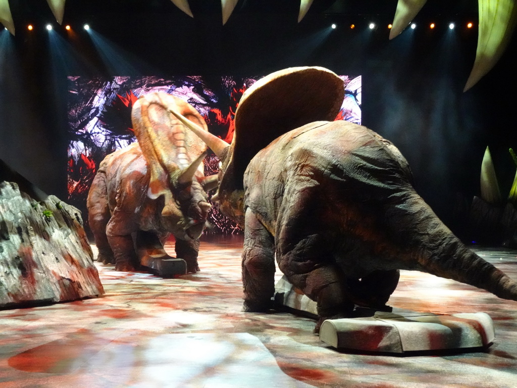 Torosaurus statues at the stage of the Ziggo Dome, during the `Walking With Dinosaurs - The Arena Spectacular` show