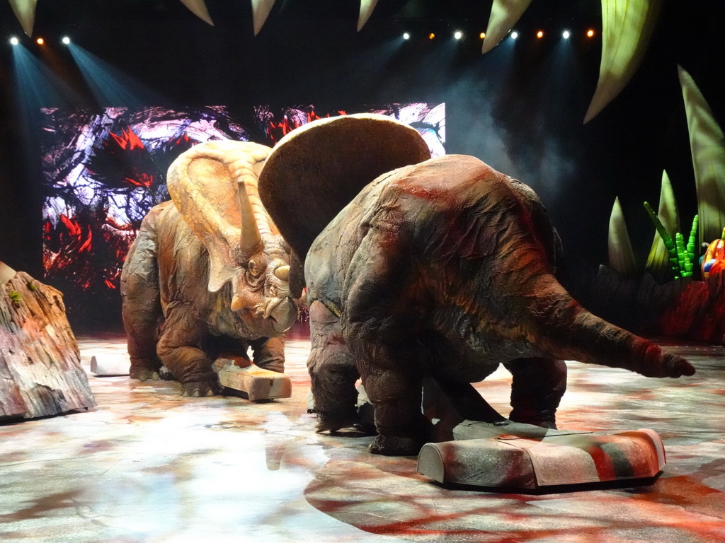 Torosaurus statues at the stage of the Ziggo Dome, during the `Walking With Dinosaurs - The Arena Spectacular` show