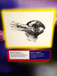 amsterdam_17_020 - 235 kb - 768x1024 - Drawing of a duck or rabbit by Joseph Jastrow at the at the Humania exhibition at the Fourth Floor of the NEMO Science Museum, with explanation Drawing of a duck or rabbit by Joseph Jastrow at the at the Humania exhibition at the Fourth Floor of the NEMO Science Museum, with explanation