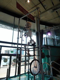 The Boneshaker at the Brilliant Bicycles exhibition at the Ground Floor of the NEMO Science Museum, with explanation