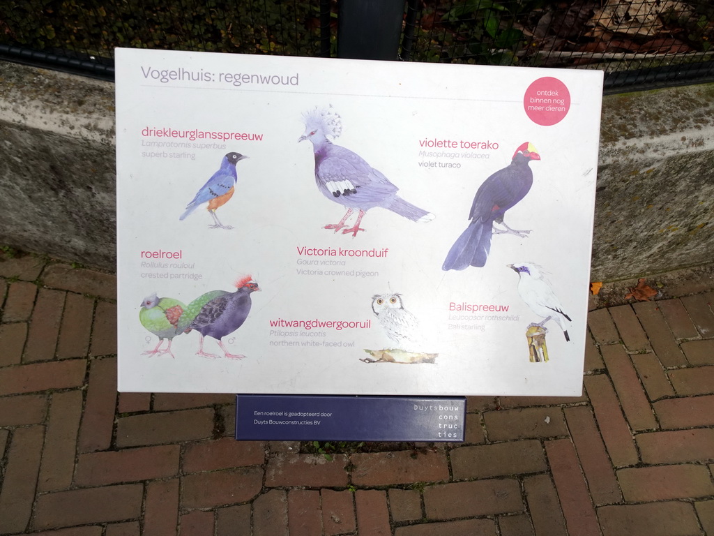 Explanation on rainforest birds at the Royal Artis Zoo