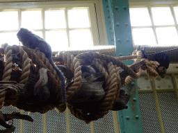 Grey-Handed Night Monkey and a fake Flying Fox at the Forest House at the Royal Artis Zoo