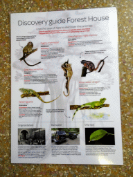 amsterdam_18_026 - 316 kb - 768x1024 - Discovery Guide Forest House at the Forest House at the Royal Artis Zoo Discovery Guide Forest House at the Forest House at the Royal Artis Zoo