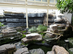 Interior of the Bird House at the Royal Artis Zoo