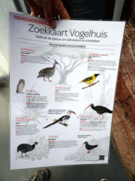 amsterdam_18_033 - 282 kb - 768x1024 - Discovery Guide Bird House at the Bird House at the Royal Artis Zoo Discovery Guide Bird House at the Bird House at the Royal Artis Zoo