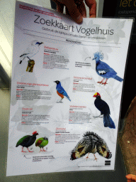 amsterdam_18_034 - 276 kb - 768x1024 - Discovery Guide Bird House at the Bird House at the Royal Artis Zoo Discovery Guide Bird House at the Bird House at the Royal Artis Zoo