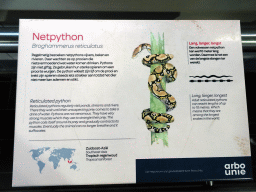 amsterdam_18_049 - 270 kb - 1024x768 - Explanation on the Reticulated Python at the Reptile House at the Royal Artis Zoo Explanation on the Reticulated Python at the Reptile House at the Royal Artis Zoo