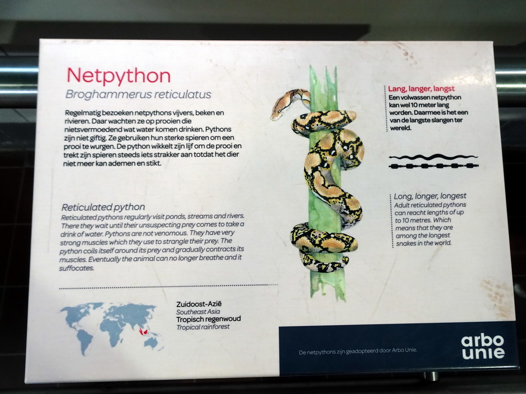 Explanation on the Reticulated Python at the Reptile House at the Royal Artis Zoo