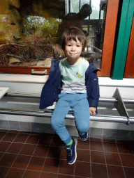 Max at the Reptile House at the Royal Artis Zoo