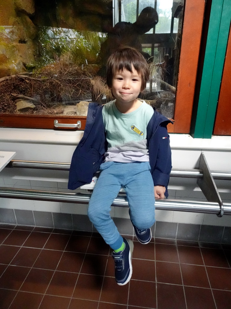 Max at the Reptile House at the Royal Artis Zoo