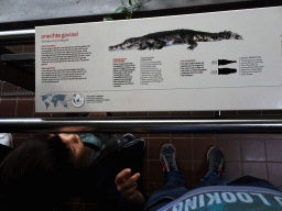 amsterdam_18_061 - 231 kb - 1024x768 - Max with the explanation on the False Gharial at the Reptile House at the Royal Artis Zoo Max with the explanation on the False Gharial at the Reptile House at the Royal Artis Zoo