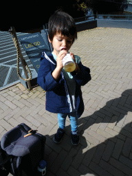 Max having a drink in front of Lemur Land at the Royal Artis Zoo