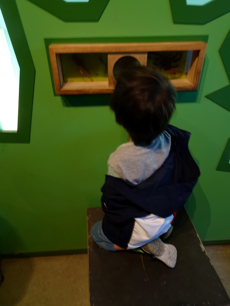 Max at the Insectarium at the Royal Artis Zoo