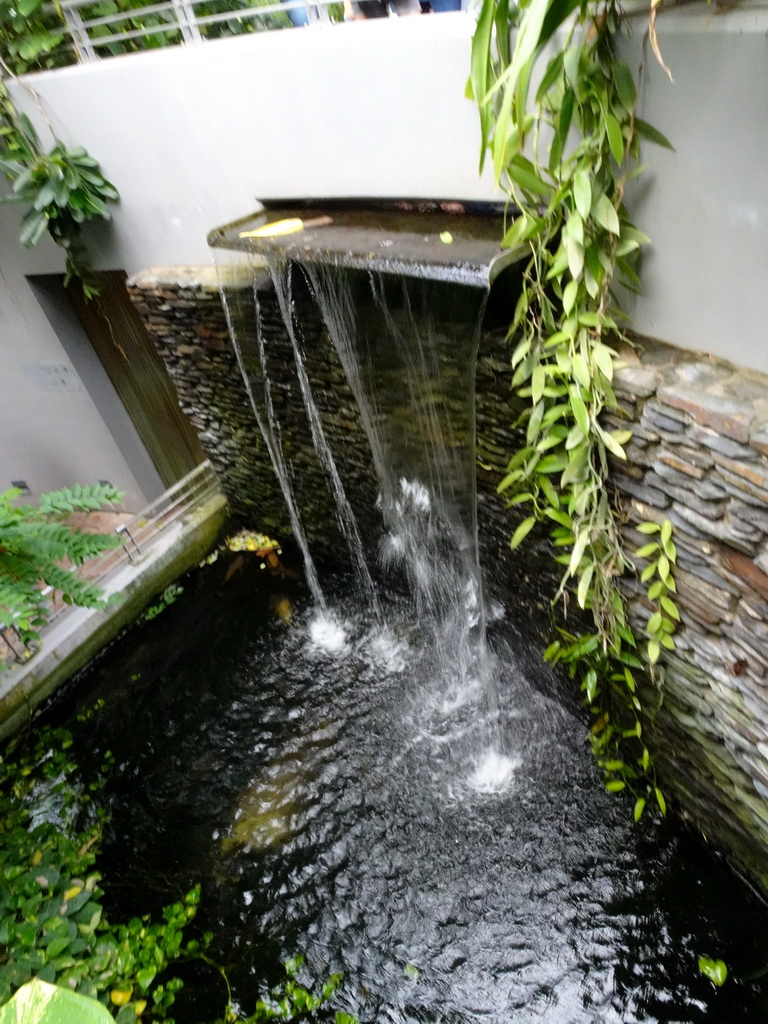 Waterfall at the Butterfly Pavilion at the Royal Artis Zoo