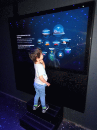 Max playing a game at the California Sea Lion enclosure at the Royal Artis Zoo