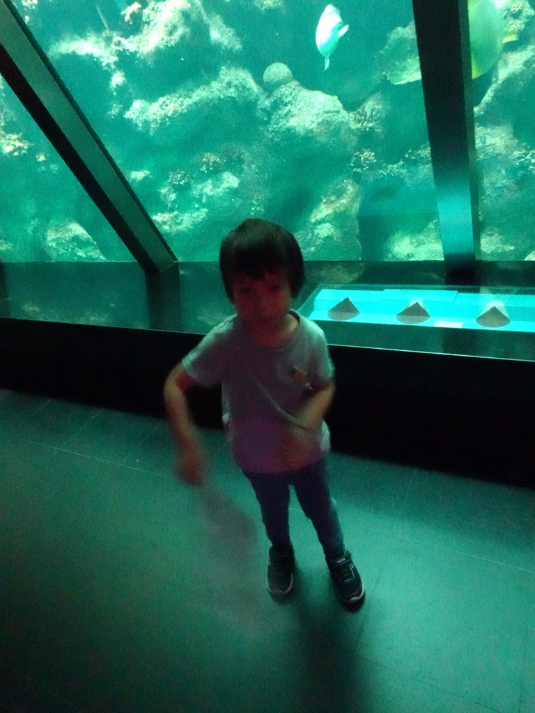 Max at the Upper Floor of the Aquarium at the Royal Artis Zoo