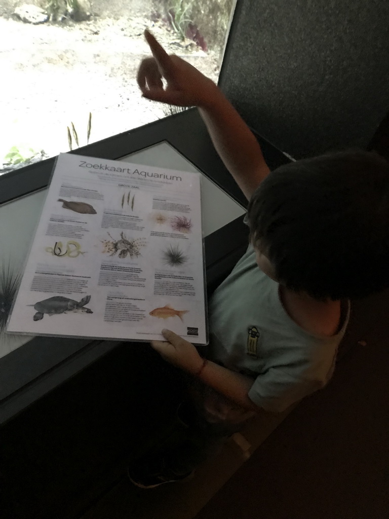 Max with the Discovery Guide Aquarium at the Main Hall at the Upper Floor of the Aquarium at the Royal Artis Zoo