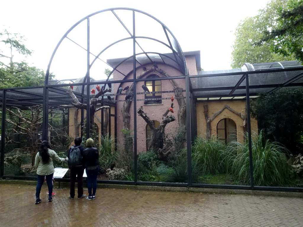 Pheasantry at the Royal Artis Zoo