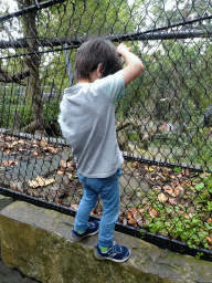 Max looking at the Jaguars at the Royal Artis Zoo
