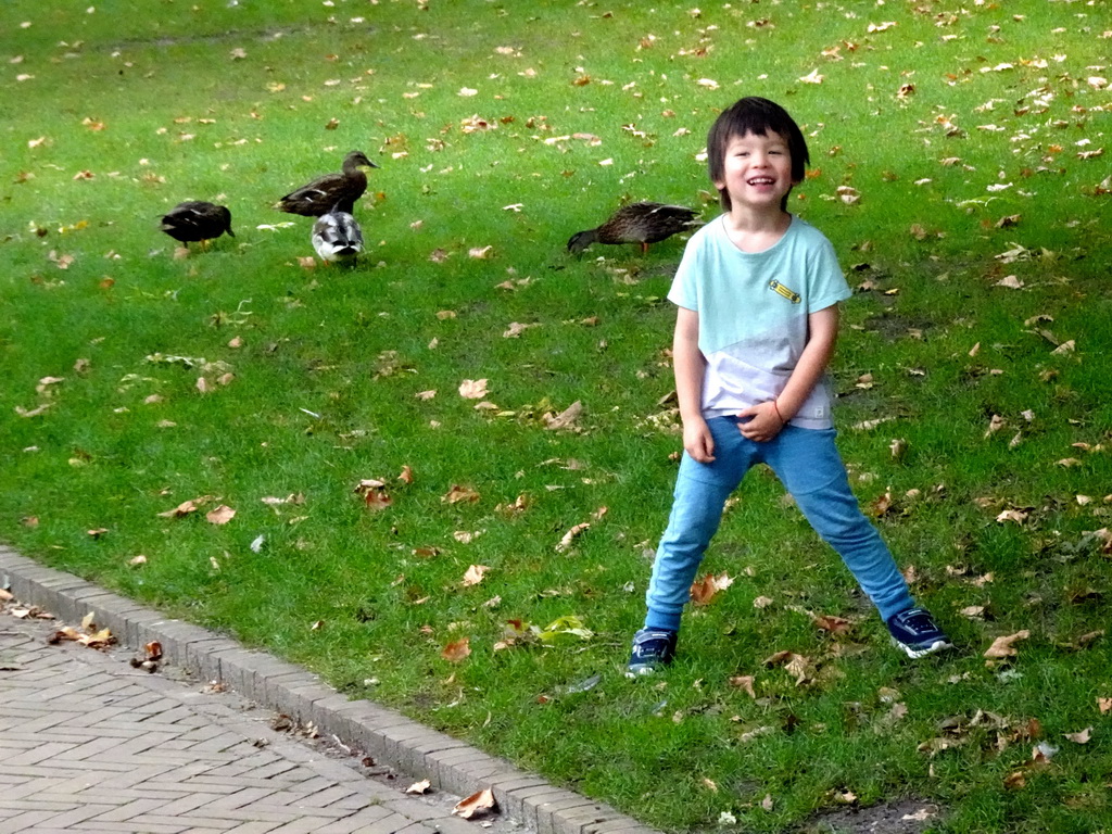 Max and Ducks at the Royal Artis Zoo