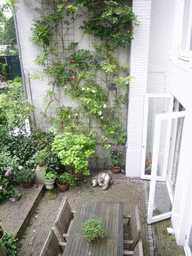 Garden of the Brouwersgracht 33 house, viewed from above