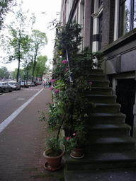 Flower pots at the staircase in front of the Herengracht 510 building