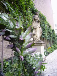 Plant and statue at the garden of the Willet-Holthuysen Museum