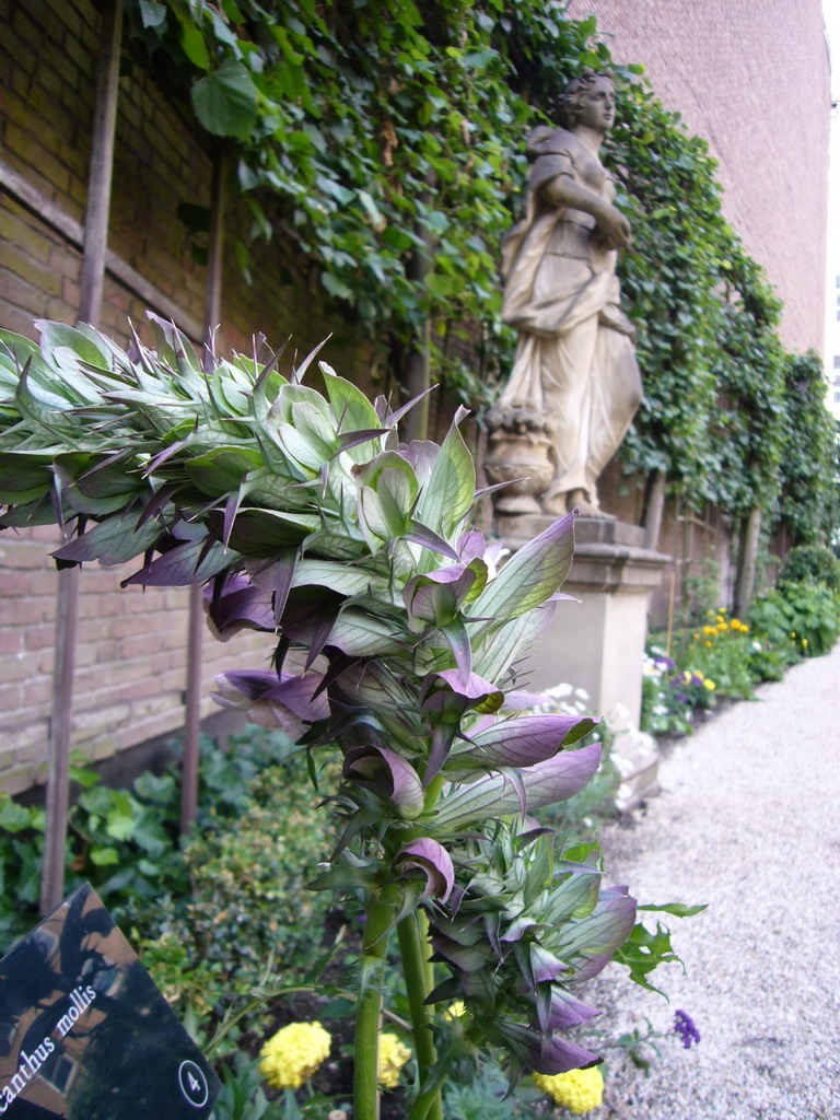 Plant and statue at the garden of the Willet-Holthuysen Museum