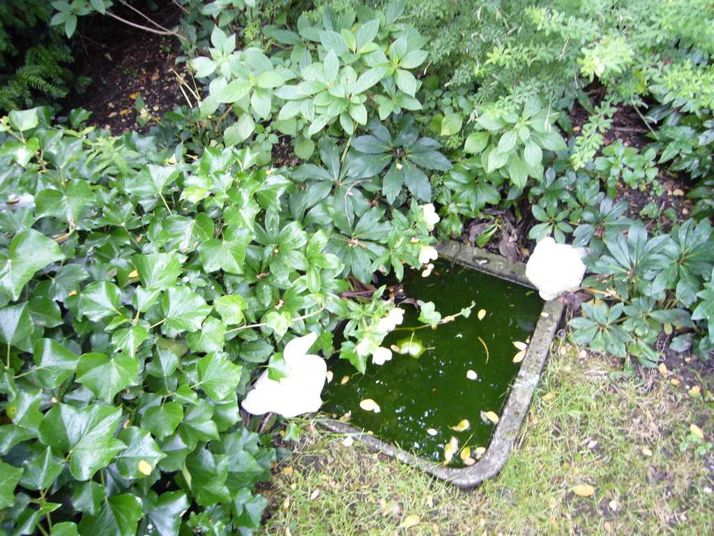 Small pond at the garden of a building at the Herengracht street