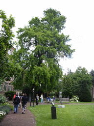 Garden of a building at the Herengracht street