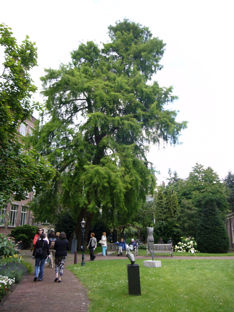 Garden of a building at the Herengracht street