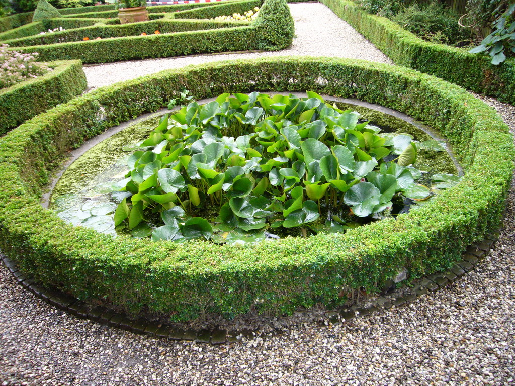 Pond with water lilies at the garden of the Herengracht 522 building