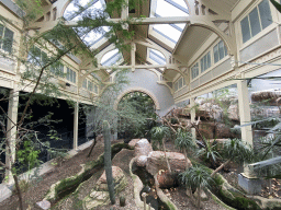 Interior of the Bird House at the Royal Artis Zoo