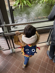 Max with a False Gharial at the Reptile House at the Royal Artis Zoo