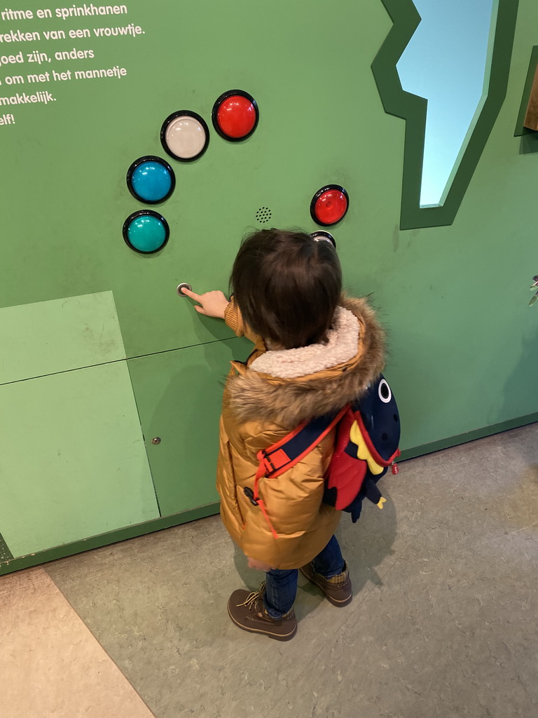 Max playing a game at the Insectarium at the Royal Artis Zoo