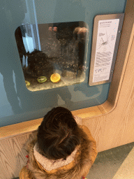 Max with Cave Crickets at the Insectarium at the Royal Artis Zoo