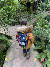 Max at the Butterfly Pavilion at the Royal Artis Zoo