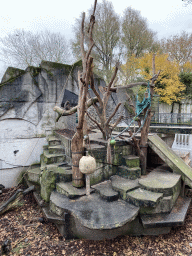 Mandrills at the Royal Artis Zoo