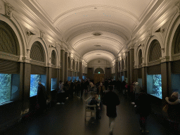 Interior of the Main Hall at the Upper Floor of the Aquarium at the Royal Artis Zoo