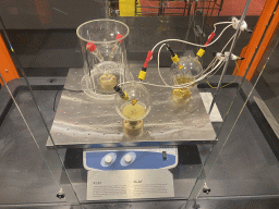 Clay experiment at the Elementa exhibition at the Third Floor of the NEMO Science Museum, with explanation