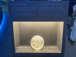 Petri dish with penicillin and bacteria at the Humania Exhibition at the Fourth Floor of the NEMO Science Museum, with explanation