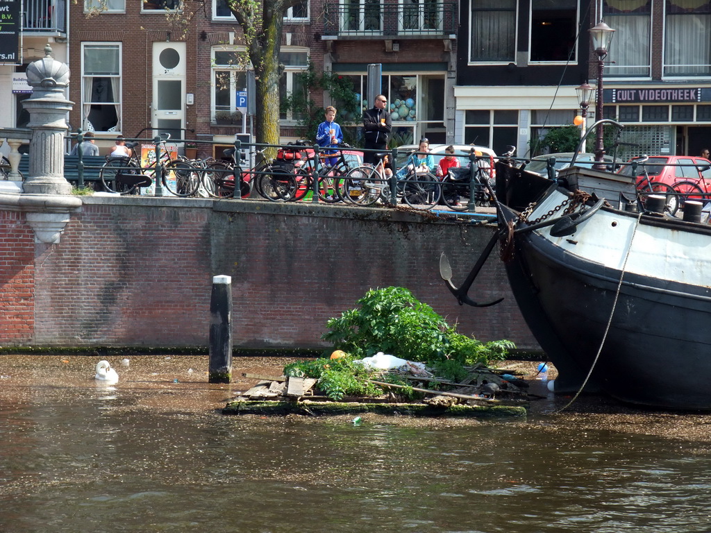 Bird`s nest in the Amstel river