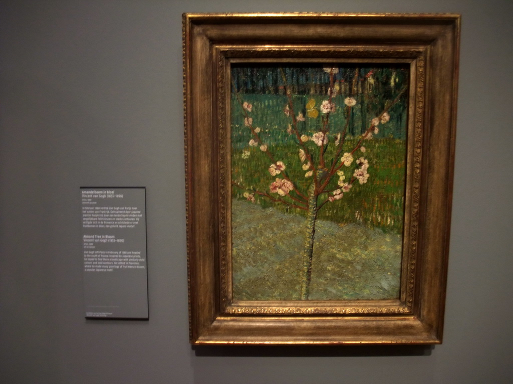 Painting `Amandelboom in bloei`, by Vincent van Gogh, on the first floor of the Rijksmuseum