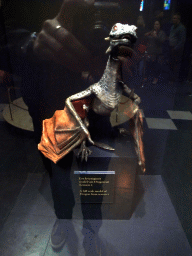 Full scale model of Drogon from season 2 at `Game of Thrones: the Exhibition` at the Posthoornkerk church, with explanation