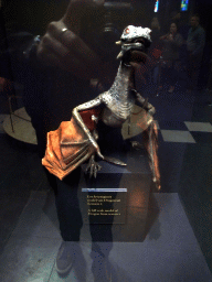 amsterdam_6_021 - 204 kb - 768x1024 - Full scale model of Drogon from season 2 at `Game of Thrones: the Exhibition` at the Posthoornkerk church, with explanation Full scale model of Drogon from season 2 at `Game of Thrones: the Exhibition` at the Posthoornkerk church, with explanation