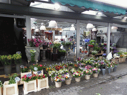 Bloemenmarkt flower stalls at the Singel canal