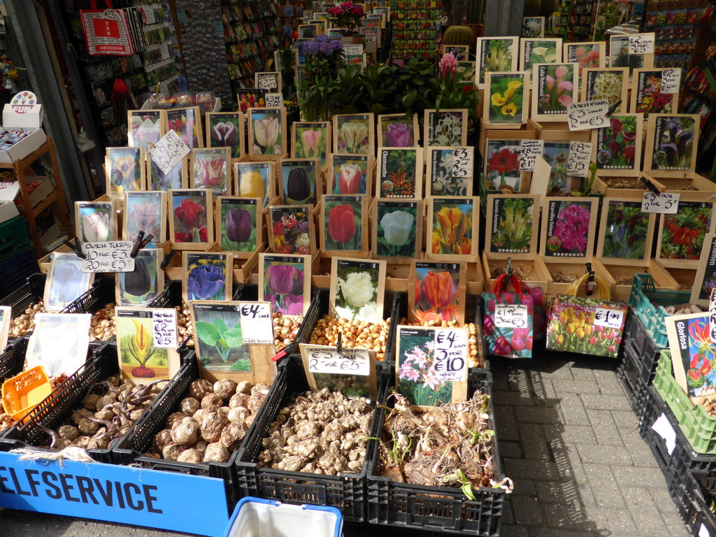 Bloemenmarkt flower stalls at the Singel canal