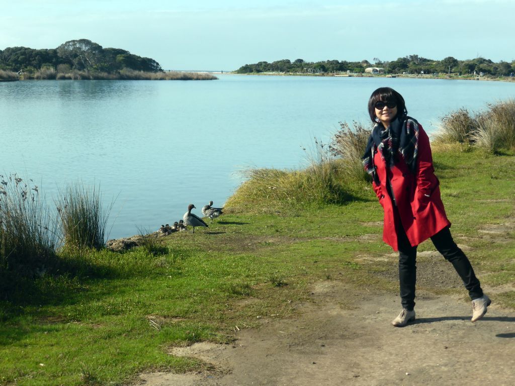 Miaomiao with ducks and ducklings on the banks of the Anglesea river and the Lions Park Reserve