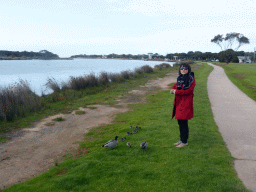 Miaomiao with ducks and ducklings on the banks of the Anglesea river and the Lions Park Reserve